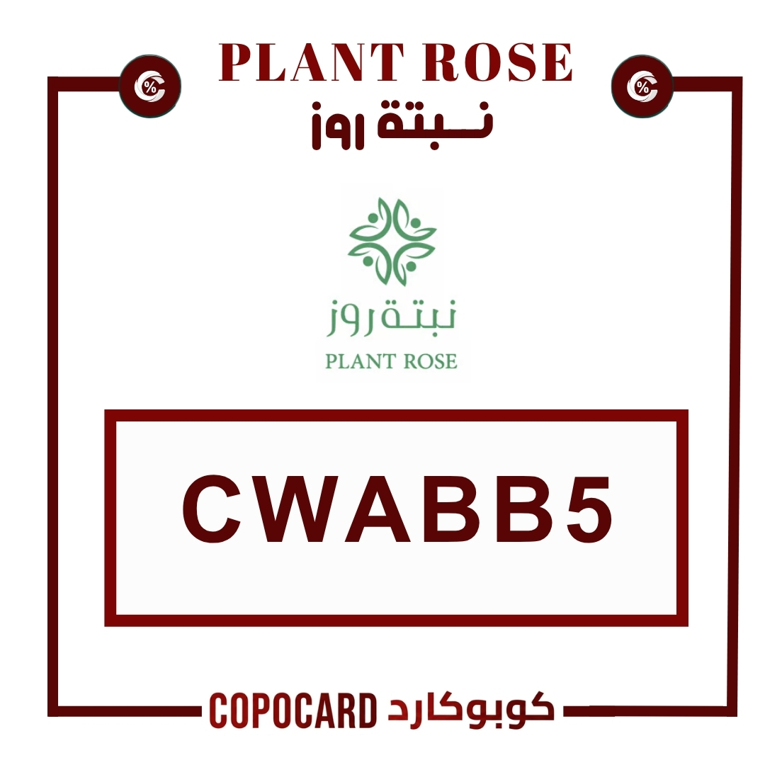 نبتة روز | plant rose